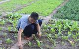 Mâm ngũ quả đặc biệt của lính Trường Sa trong ngày Tết